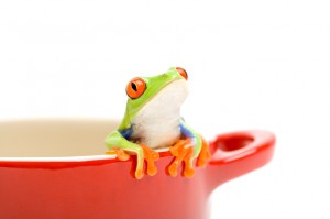 Frog in pan